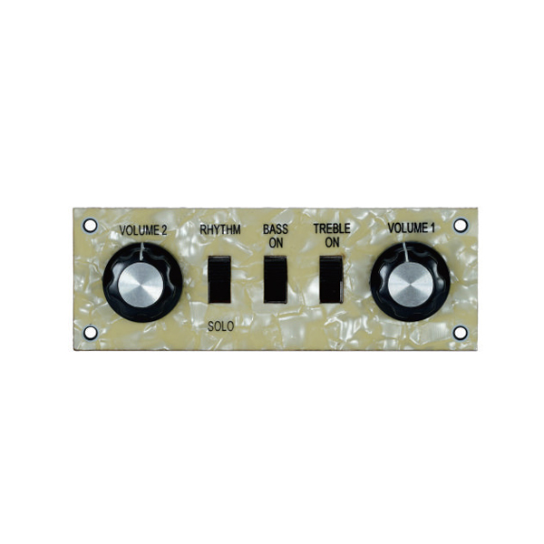 HJ-1008